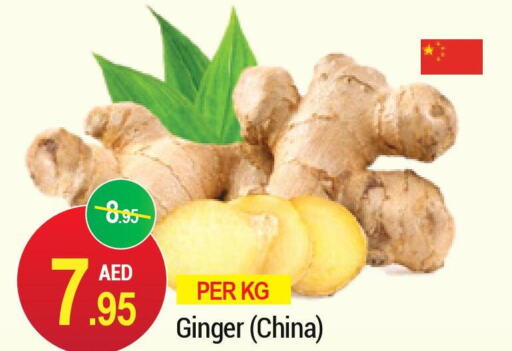  Ginger  in رتش سوبرماركت in الإمارات العربية المتحدة , الامارات - دبي