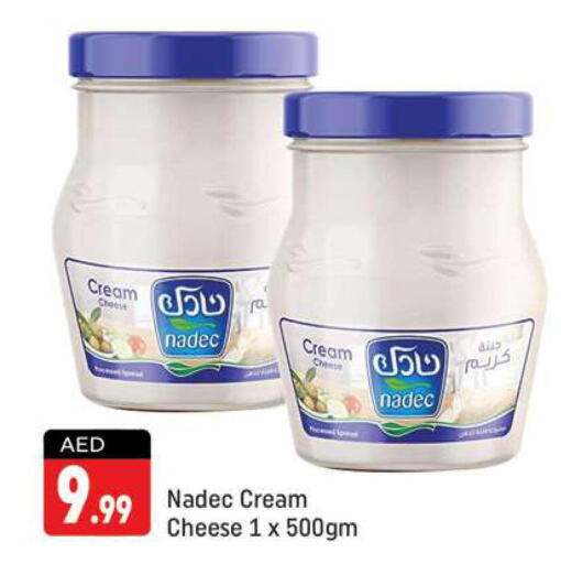 NADEC Cream Cheese  in شكلان ماركت in الإمارات العربية المتحدة , الامارات - دبي