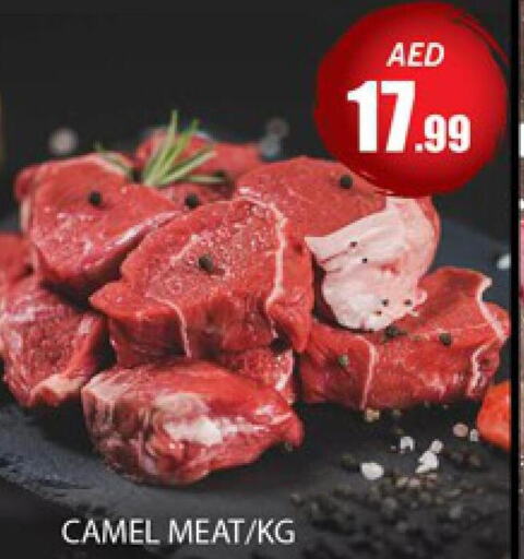 لحم