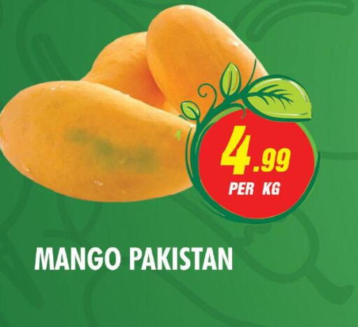  Mango  in نايت تو نايت in الإمارات العربية المتحدة , الامارات - الشارقة / عجمان