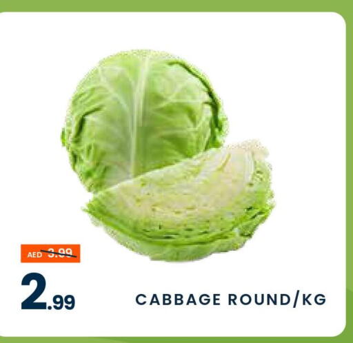  Cabbage  in MADHOOR SUPERMARKET L.L.C in UAE - Dubai