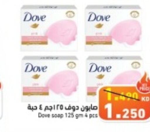 DOVE   in Ramez in Kuwait - Jahra Governorate