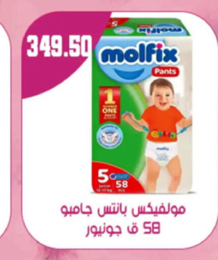 MOLFIX   in هايبر سامي سلامة وأولاده in Egypt - القاهرة