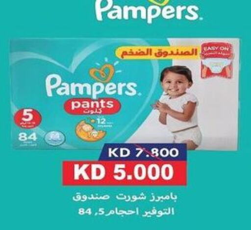 Pampers   in جمعية العمرية التعاونية in الكويت - مدينة الكويت