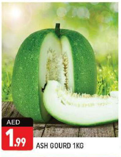  Gourd  in شكلان ماركت in الإمارات العربية المتحدة , الامارات - دبي