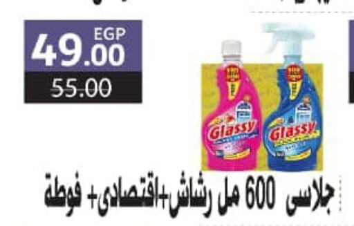  General Cleaner  in وكالة المنصورة - الدقهلية‎ in Egypt - القاهرة