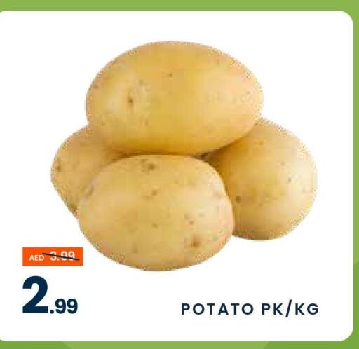  Potato  in مدهور سوبرماركت in الإمارات العربية المتحدة , الامارات - دبي