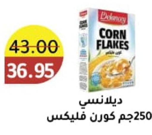 DELANCEY Corn Flakes  in Wekalet Elmansoura - Dakahlia  in Egypt - Cairo