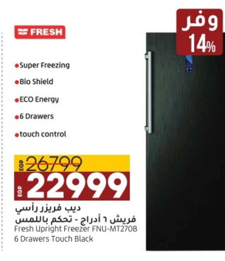 FRESH Freezer  in لولو هايبرماركت in Egypt - القاهرة