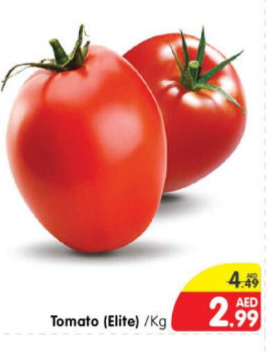  Tomato  in هايبر ماركت المدينة in الإمارات العربية المتحدة , الامارات - أبو ظبي