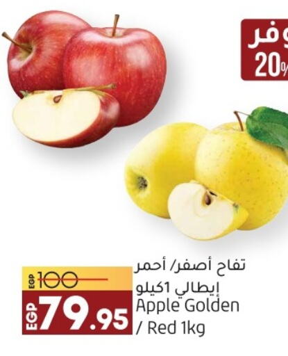 Apples  in لولو هايبرماركت in Egypt - القاهرة