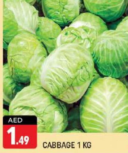  Cabbage  in شكلان ماركت in الإمارات العربية المتحدة , الامارات - دبي