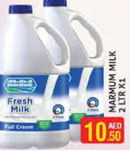  Fresh Milk  in هايبرماركت النخيل محيصنة in الإمارات العربية المتحدة , الامارات - دبي
