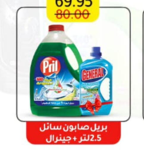 PRIL General Cleaner  in وكالة المنصورة - الدقهلية‎ in Egypt - القاهرة