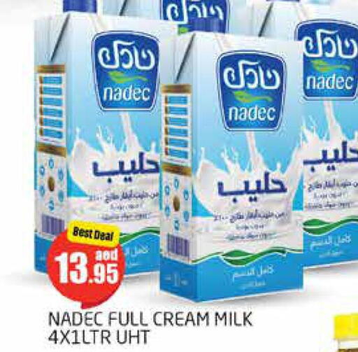 NADEC Long Life / UHT Milk  in PASONS GROUP in UAE - Dubai