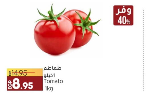  Tomato  in Lulu Hypermarket  in Egypt - Cairo