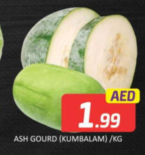  Gourd  in مانجو هايبرماركت in الإمارات العربية المتحدة , الامارات - دبي