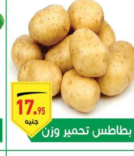  Potato  in أسواق العثيم in Egypt - القاهرة