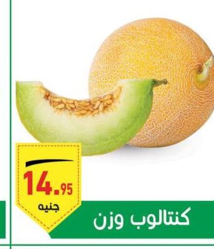  Watermelon  in أسواق العثيم in Egypt - القاهرة