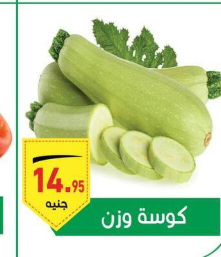  Zucchini  in أسواق العثيم in Egypt - القاهرة