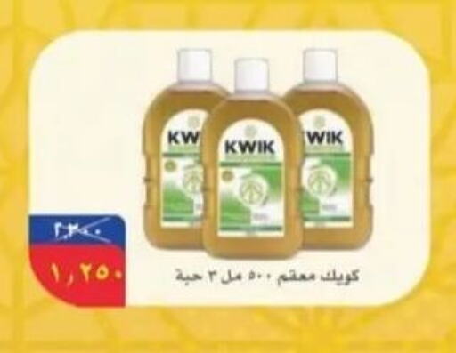 KWIK Disinfectant  in Riqqa Co-operative Society in Kuwait - Ahmadi Governorate