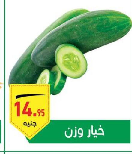  Cucumber  in أسواق العثيم in Egypt - القاهرة