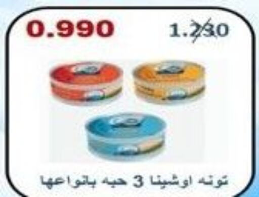  Tuna - Canned  in جمعية الرقة التعاونية in الكويت - محافظة الأحمدي