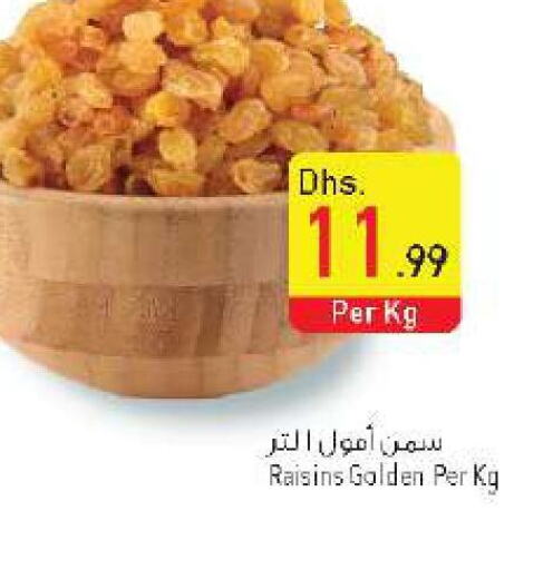 SAFEER Spices / Masala  in السفير هايبر ماركت in الإمارات العربية المتحدة , الامارات - الشارقة / عجمان