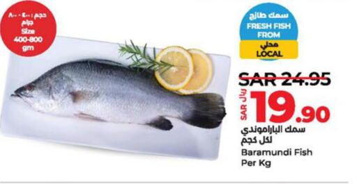  King Fish  in لولو هايبرماركت in مملكة العربية السعودية, السعودية, سعودية - الأحساء‎