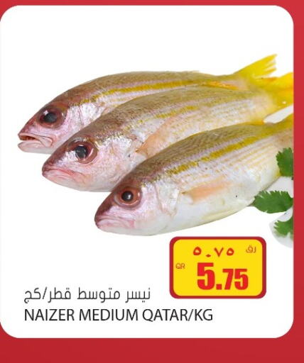  in Grand Hypermarket in Qatar - Umm Salal