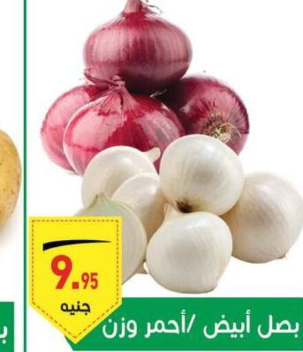  Onion  in أسواق العثيم in Egypt - القاهرة