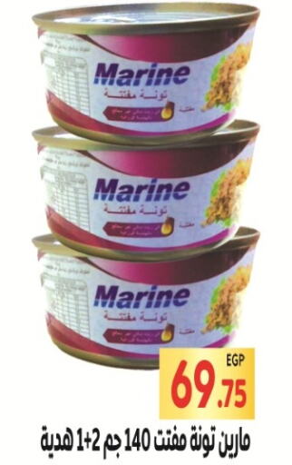  Tuna - Canned  in El Mahallawy Market  in Egypt - Cairo