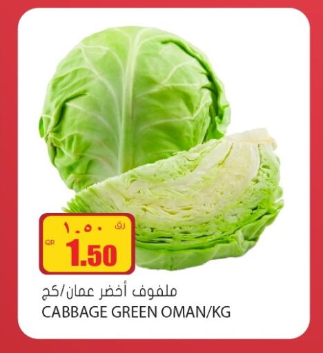  Cabbage  in Grand Hypermarket in Qatar - Al Daayen