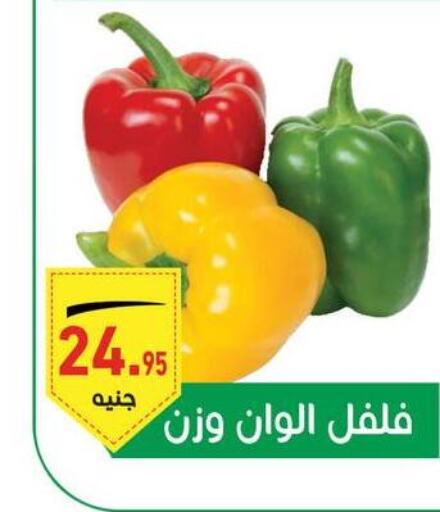  Chilli / Capsicum  in أسواق العثيم in Egypt - القاهرة