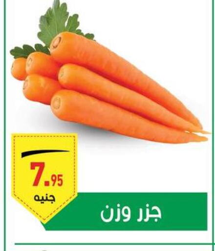  Carrot  in أسواق العثيم in Egypt - القاهرة