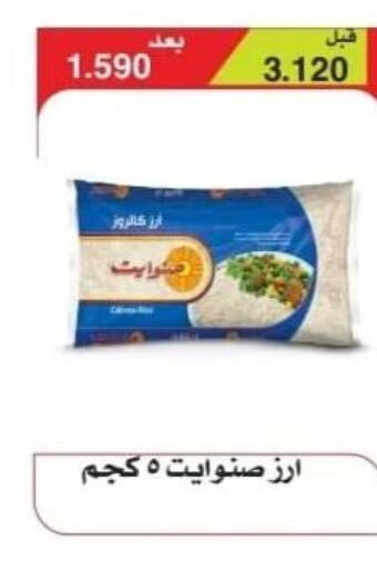  Egyptian / Calrose Rice  in Riqqa Co-operative Society in Kuwait - Kuwait City