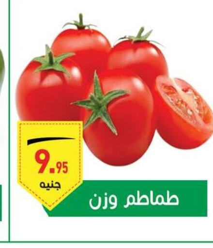  Tomato  in أسواق العثيم in Egypt - القاهرة