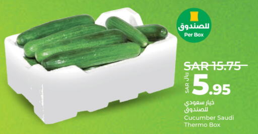  Cucumber  in لولو هايبرماركت in مملكة العربية السعودية, السعودية, سعودية - جدة