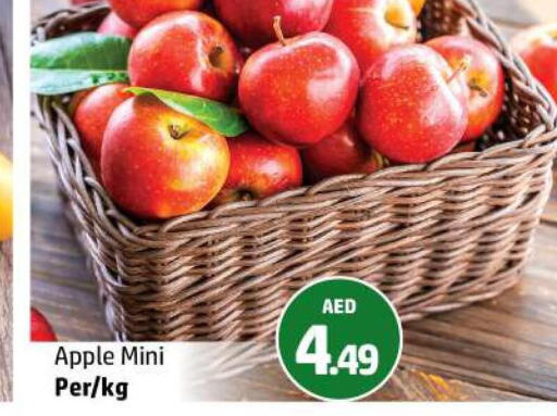  Apples  in الحوت  in الإمارات العربية المتحدة , الامارات - رَأْس ٱلْخَيْمَة