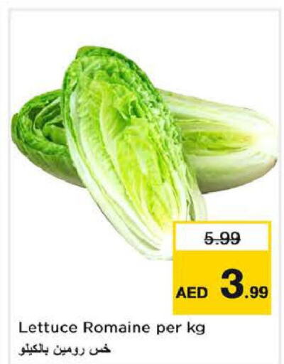  Cauliflower  in Last Chance  in UAE - Fujairah
