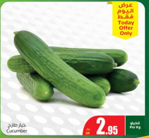  Cucumber  in Othaim Markets in KSA, Saudi Arabia, Saudi - Hafar Al Batin