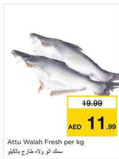  King Fish  in نستو هايبرماركت in الإمارات العربية المتحدة , الامارات - الشارقة / عجمان