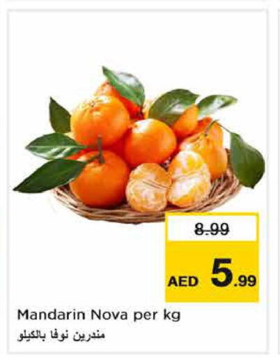  Orange  in نستو هايبرماركت in الإمارات العربية المتحدة , الامارات - ٱلْفُجَيْرَة‎