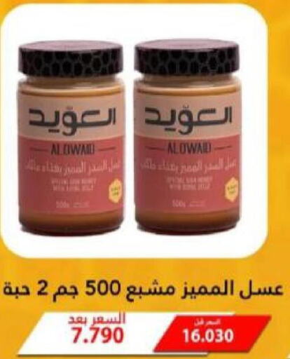  Honey  in جمعية الأحمدي التعاونية in الكويت - محافظة الأحمدي