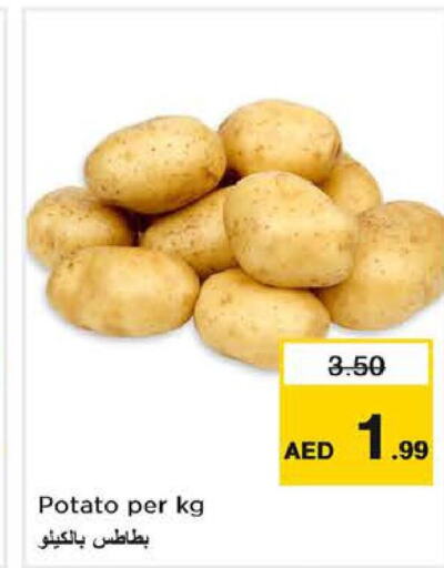  Potato  in Last Chance  in UAE - Fujairah