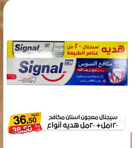 SIGNAL Toothpaste  in Beit El Gomla in Egypt - Cairo