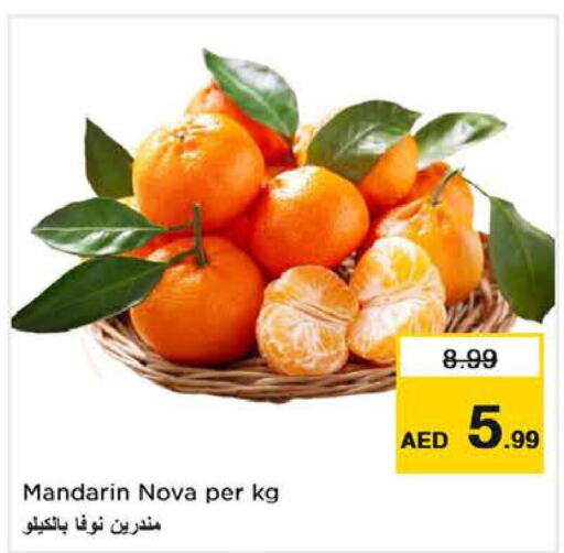  Orange  in Last Chance  in UAE - Fujairah