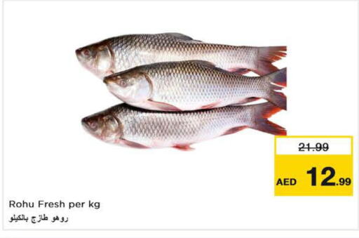  King Fish  in نستو هايبرماركت in الإمارات العربية المتحدة , الامارات - رَأْس ٱلْخَيْمَة