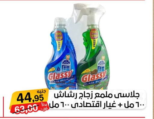  Glass Cleaner  in بيت الجملة in Egypt - القاهرة