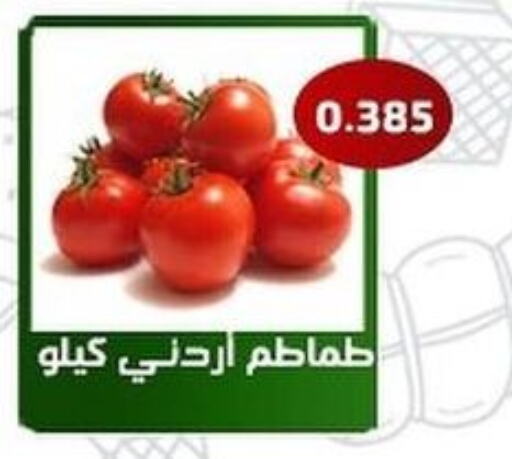  Tomato  in جمعية فحيحيل التعاونية in الكويت - مدينة الكويت